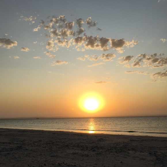 Meet your Posher, Deanne and Ruby πββ¬. - Picture 11 of 16